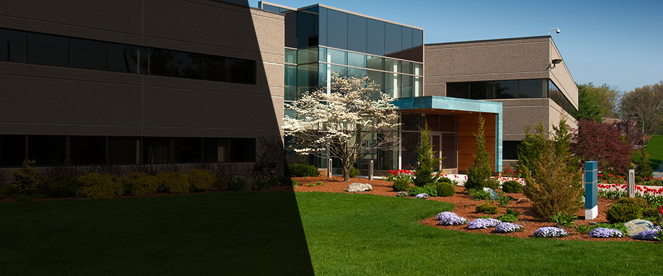 West Henrietta Landscapers