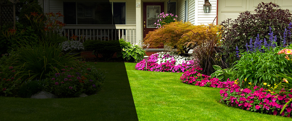 West Henrietta Landscapers